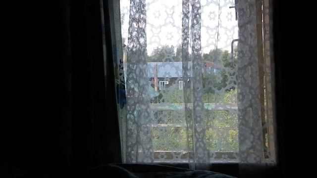 окно в летней_DSCF2005