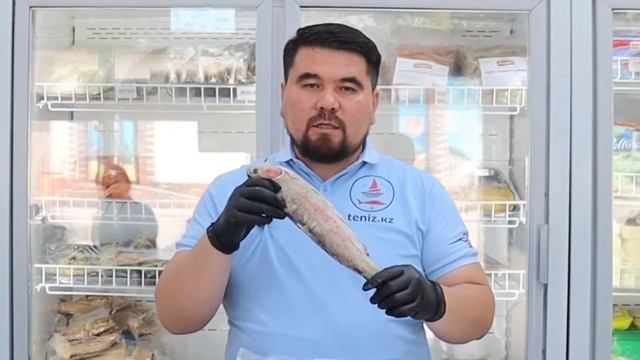 Форель балығы смотреть онлайн