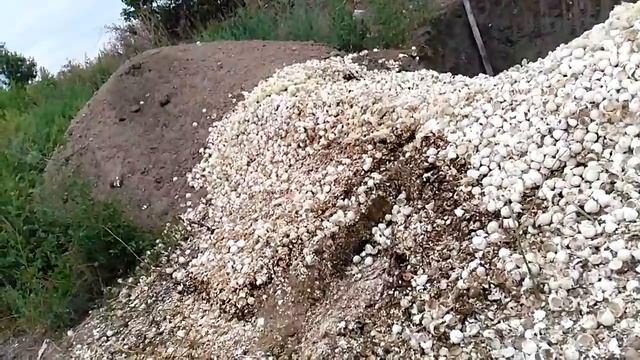 Скрытые ужасы птице фабрик смотреть онлайн