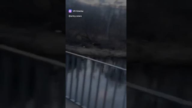 vkclips_20241217010921 смотреть онлайн