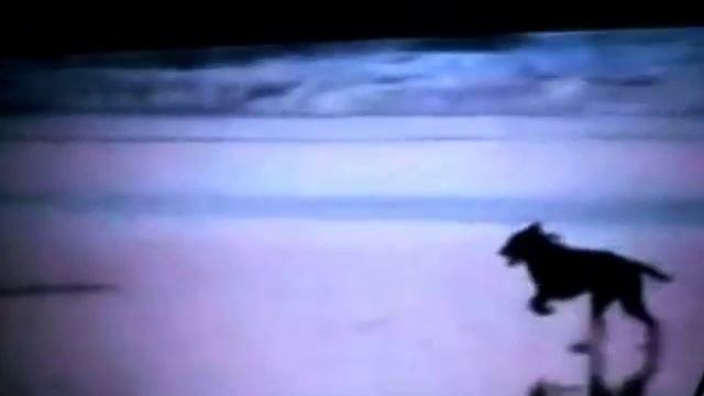 Пьеса "Мужчина и Женщина"// The play "Man and Woman" смотреть онлайн