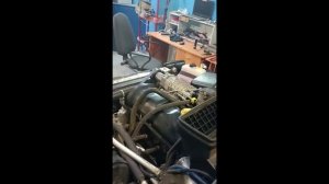 НИВА спорт?