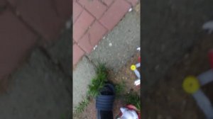 Zoomer Marshall toy destruction part 2