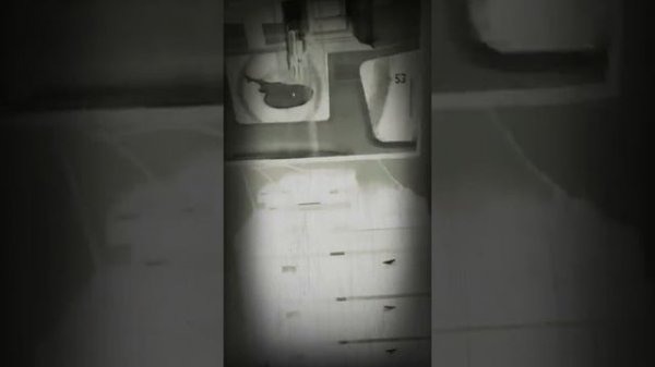 Octonauts Creature Report Song From The Phantom Menace Attack Of The Clones And The Force Awakens