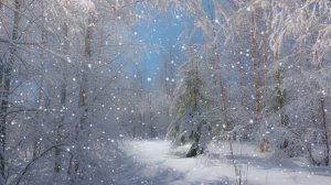 Футаж. Зимний пейзаж 125