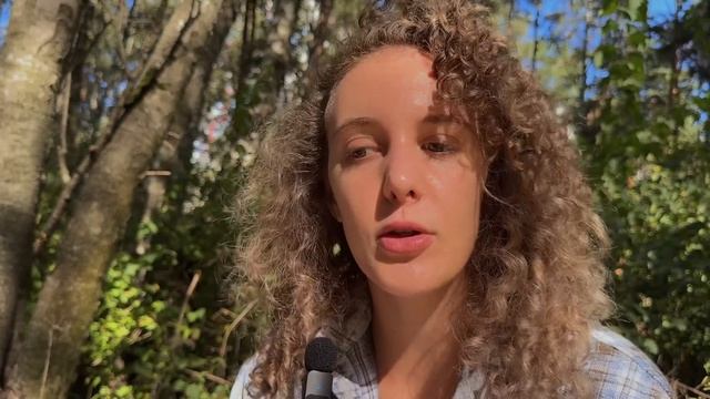 Механизм / Притянуть К Себе Все Что Угодно смотреть онлайн