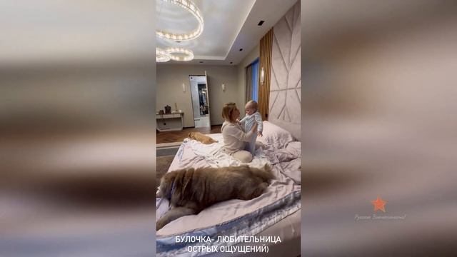 Дочка Ольги Орловой любит острые ощущение? смотреть онлайн