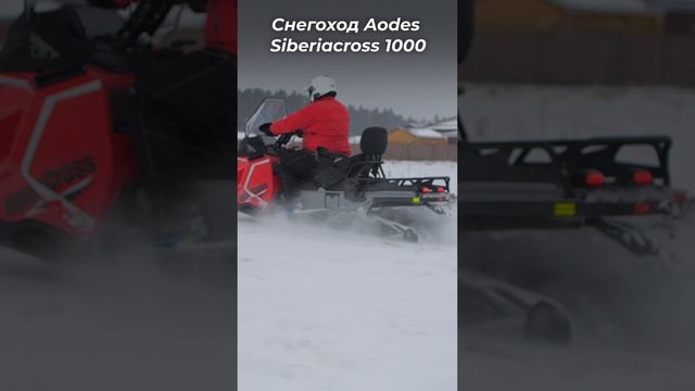Китайский снегоход Aodes Siberiacross 1000 | ОБЗОР и Тест-Драйв смотреть онлайн