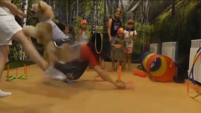 "Первое в Кургане Шоу дрессированных собак" смотреть онлайн