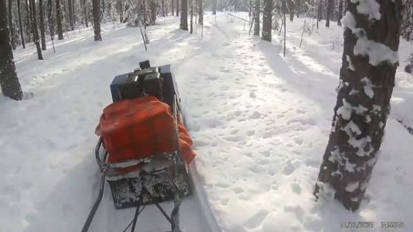 мотобуксировщик полярник 15 , в лес по дрова