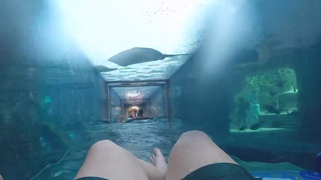 Shark Attack | Aquaventure / Atlantis The Palm | Onride POV