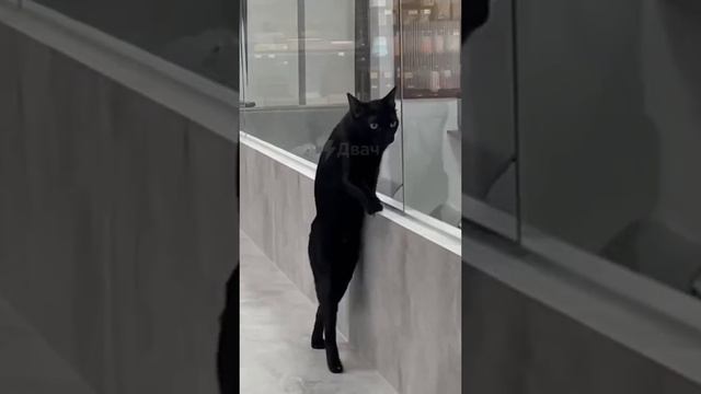 1000006071.mp4 смотреть онлайн