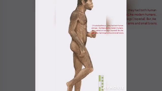 Humans Evolution смотреть онлайн