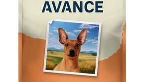 Обзор Avance для мелких пород. Другой взгляд смотреть онлайн