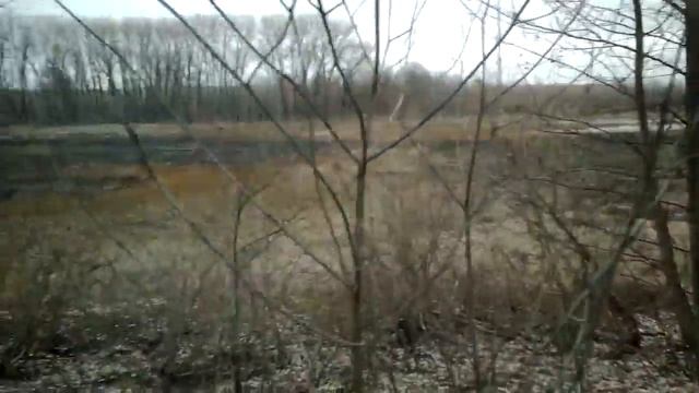 Nature:Уходим вправо. Природа Чернигова. Озёра.(5) смотреть онлайн