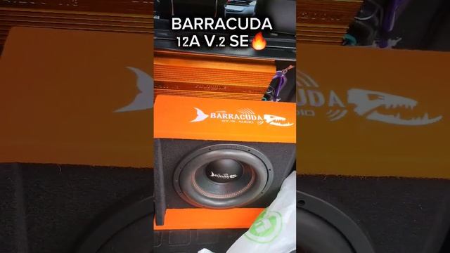BARRACUDA 12A V.2 SE #shortvideo #dlaudio #рекомендации #москвич3 #автозвук смотреть онлайн
