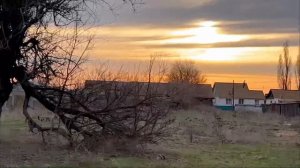 ОПАСНЫЙ УКУС || ЦЕЛЫЙ ДЕНЬ В 30 мин в ДЕРЕВНЕ