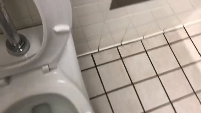 217. 2017 Kohler Fixtures at Chula Vista Public Library (Men’s Restroom by the entrance) смотреть онлайн