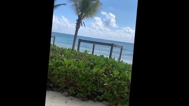 Akumal Bay Beach & Wellness Resort I Cenote Azul I Mexico I Karibik смотреть онлайн