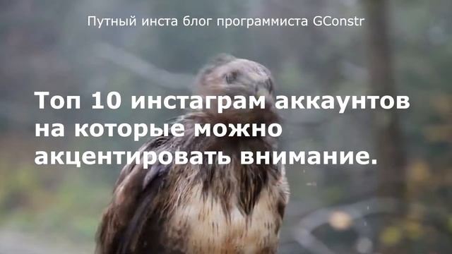 Путный инста блог программиста GConstr смотреть онлайн