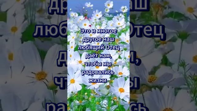 За всё благодарите