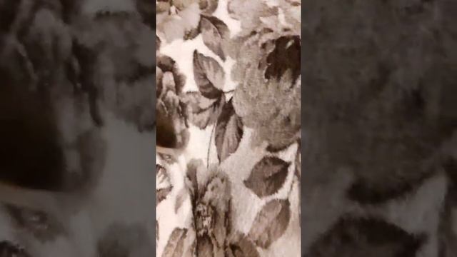 Дека кошено #1 смотреть онлайн