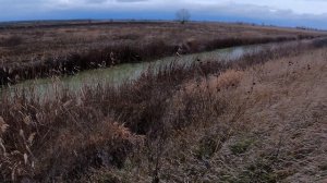 охота на утку