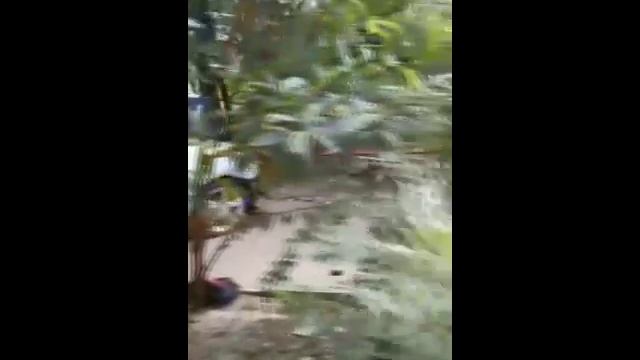 КОМЕДИЯ РОК Жизнь состоит из "Мелочей"!!! смотреть онлайн