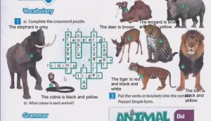 SPOTLIGHT 5 рабочая тетрадь страница 33