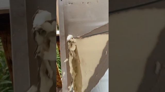 Почему не морозит холодильник Beko смотреть онлайн