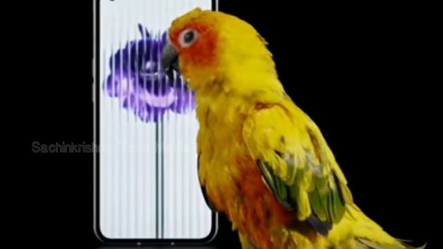 Infinix smart 6 plus, Nothing phone(1),Oneplus Some important information #sachinkrishnatechmedia смотреть онлайн