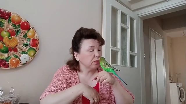 Влог_ Обычный день Турецкой Жены ✔️Болталка с вами🤗✔️Дружеский канал 🙋😍✔️Кеша мой помощник 😁✔️Ту смотреть онлайн