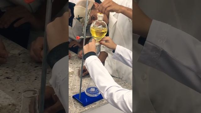 Decantação simples смотреть онлайн