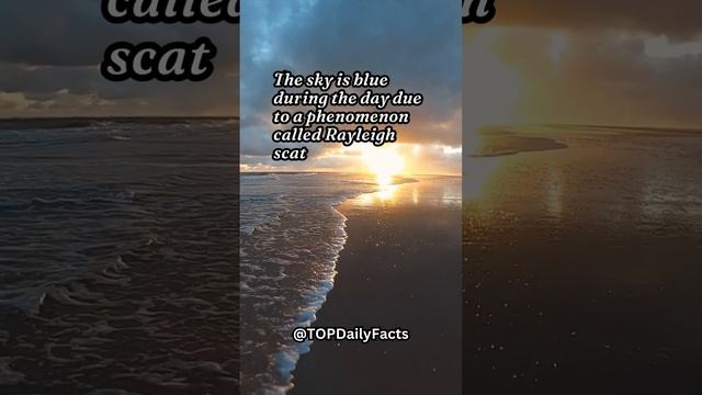 The sky is blue during the day due to a phenomenon called Rayleigh scattering смотреть онлайн