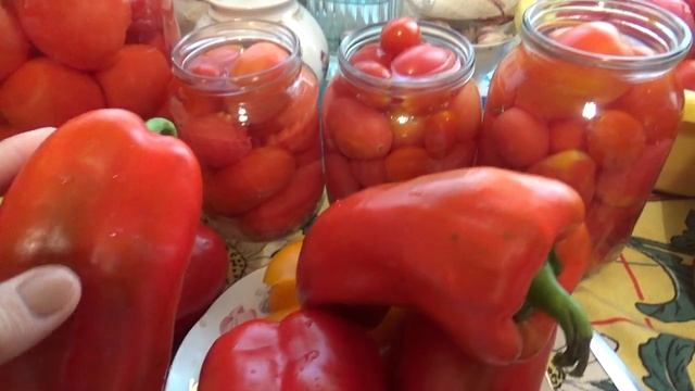 Любимцы в консервацию смотреть онлайн