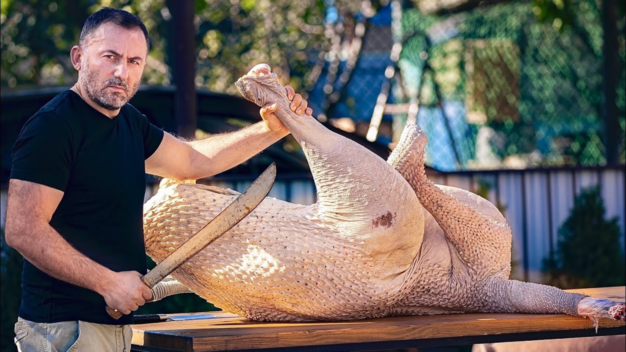 ШАШЛЫК из СТРАУСА. МЯСО СТРАУСА на МАНГАЛЕ. ENG SUB смотреть онлайн