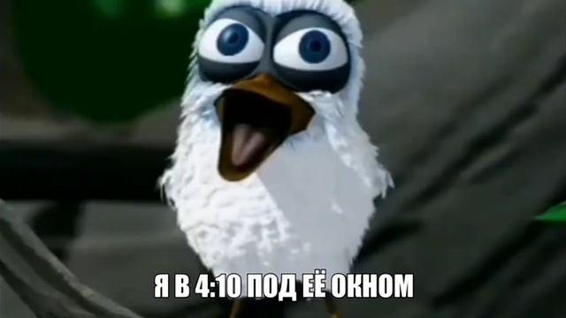 Птица кричит