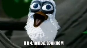 Птица кричит