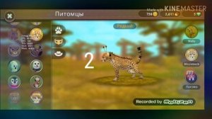 Топ5 самых лучших петов в Wild craft