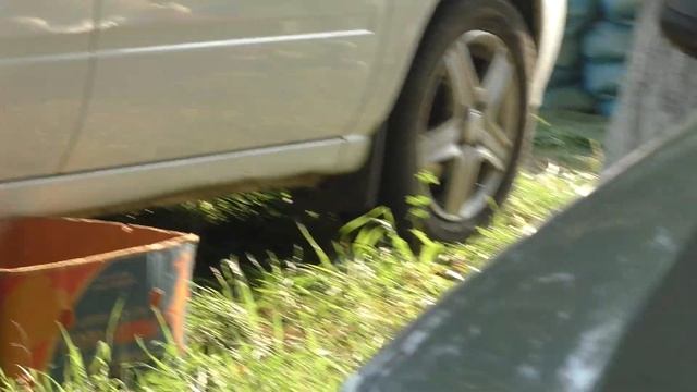 Сельские голуби. 28 08 2022 года птичий рынок, город Кропоткин продолжение часть 1. смотреть онлайн