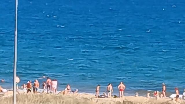 Вид с балкона отель лазурный Береговое , Феодосия, Крым 2024