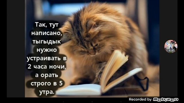 Озвучка по КВ и не только. смотреть онлайн