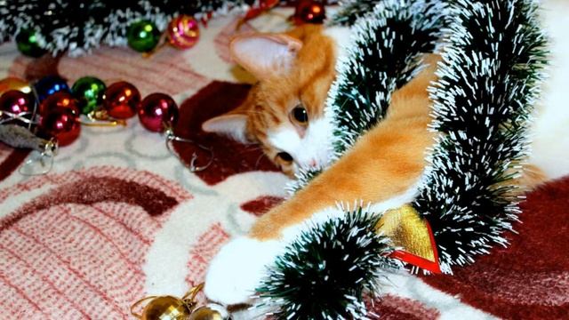 Ждуны новогодне - ёлочные. (2) смотреть онлайн