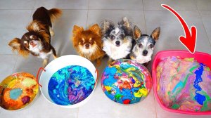 Мы сделали гигант! Слаймы против питомцев 😱✨