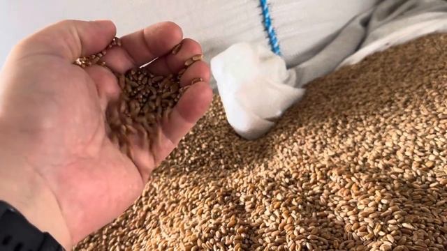 Элита 24. Таня 49гр/1000шт. смотреть онлайн