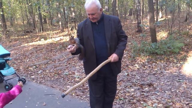 Белки в Измайловском парке смотреть онлайн