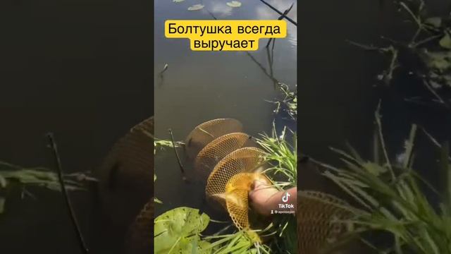 Когда не клюёт выручает Болтушка смотреть онлайн