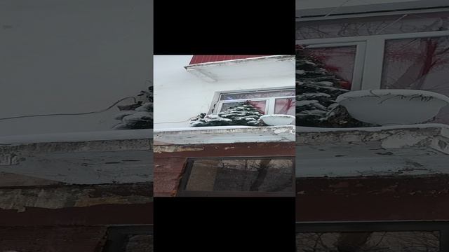 Ёлочка, мне нравится? На балконе. /Инта. смотреть онлайн