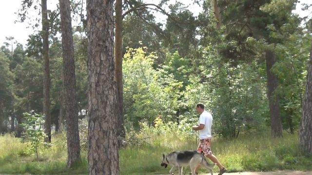 20140817131416 5 смотреть онлайн