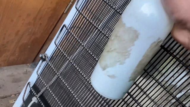 Бирюса 8 не морозит, проткнули морозилку при разморозке смотреть онлайн